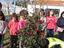 foto 6 - jardineiros da câmara municipal a desbastar o nosso sobreiro, com alunos do 1.º Ciclo a assistir
       O sobreiro está muito crescido e saudável! Ainda ficou mais bonito!